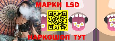 прущие грибы Нальчик