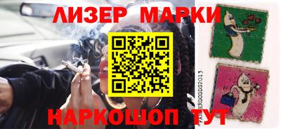 прущие грибы Нальчик