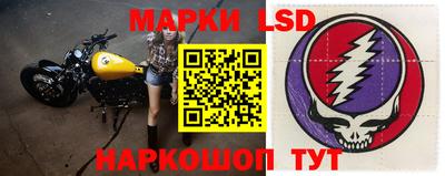 прущие грибы Нальчик