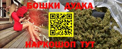 прущие грибы Нальчик