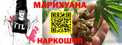 прущие грибы Нальчик