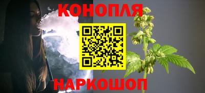 прущие грибы Нальчик