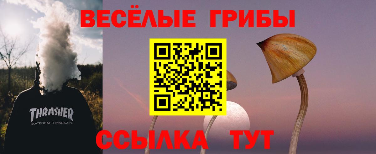 где продают   Псилоцибиновые грибы Magic Shrooms  Вход с VPN  Томск 